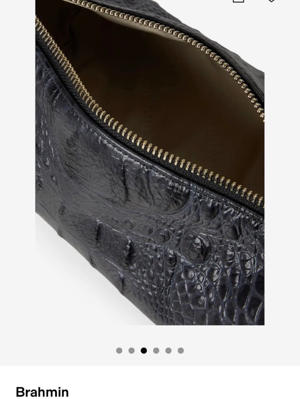 Brahmin - Picture 6 of 7